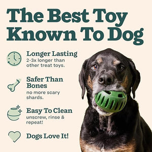 Durable Dog Treat Tray Mold & Toy Long-Lasting Dog Snack Maker