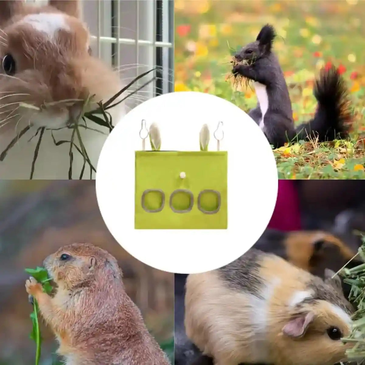Hanging Hay Feeder Bag for Rabbits and Guinea Pigs