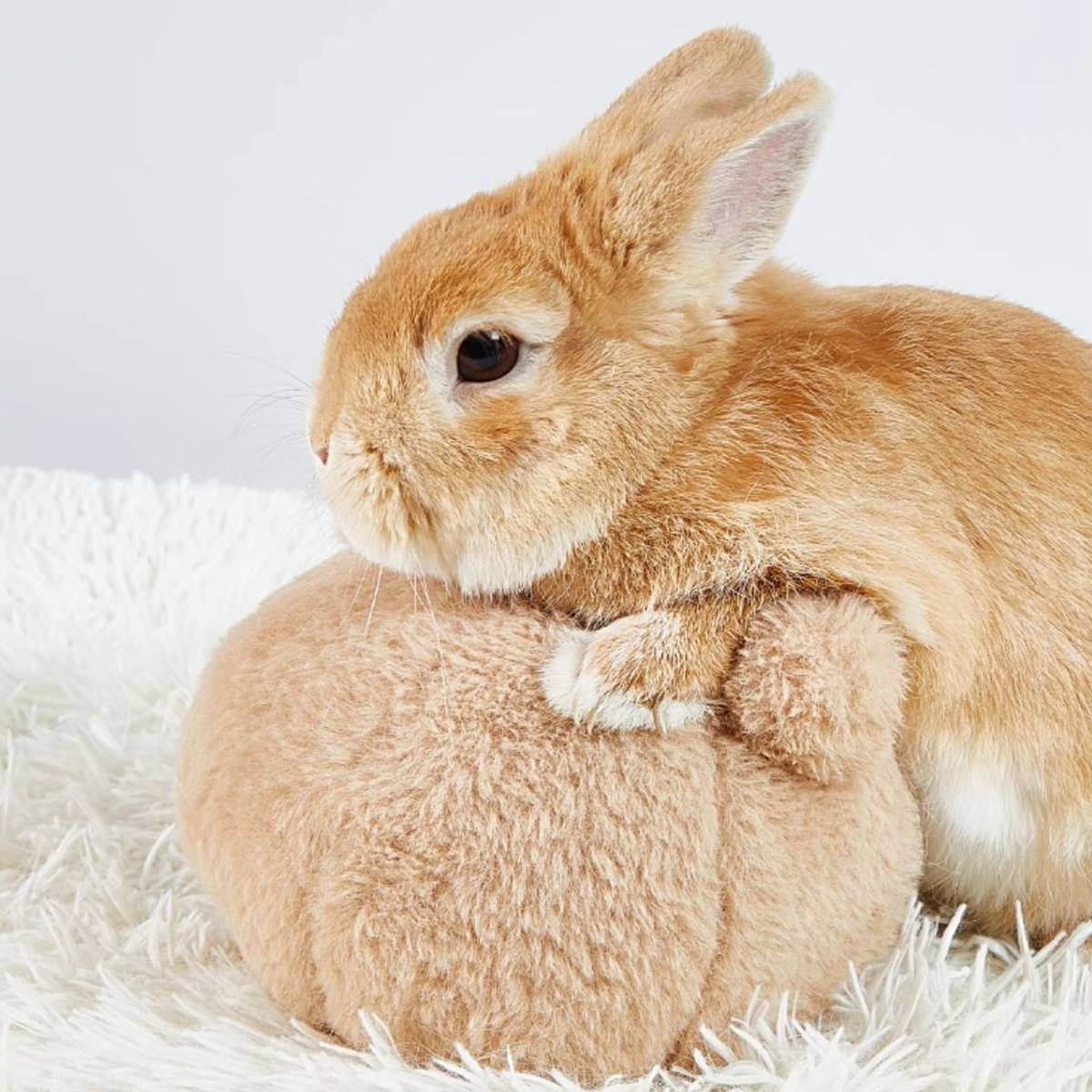Rabbit Stress Relief Toy Soft Bunny Plush Toy