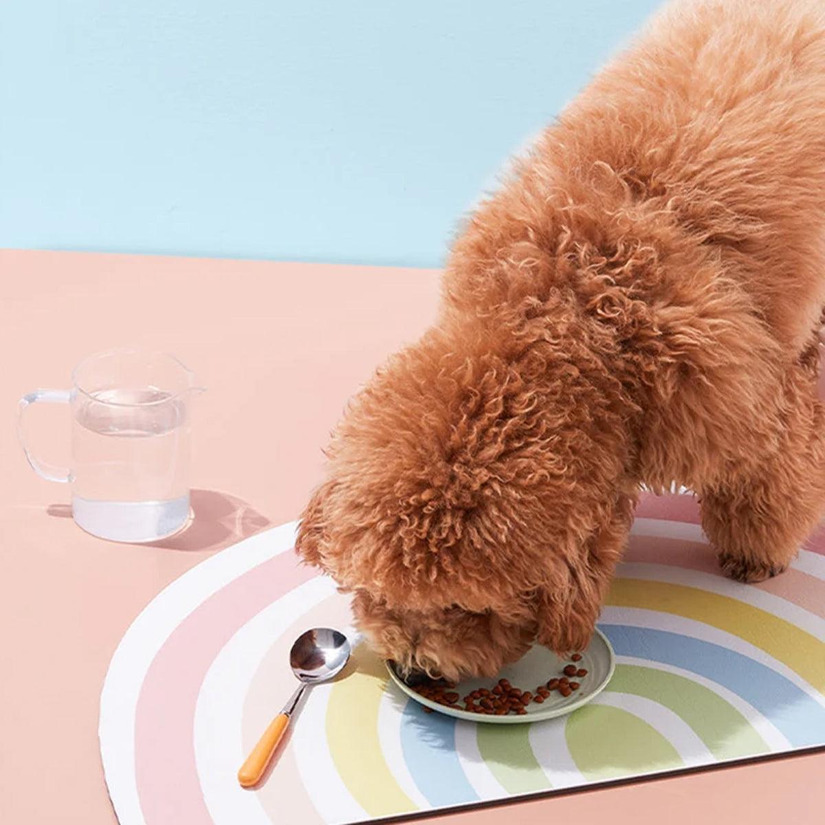 Rainbow Pet Food Mat Waterproof Non-Slip
