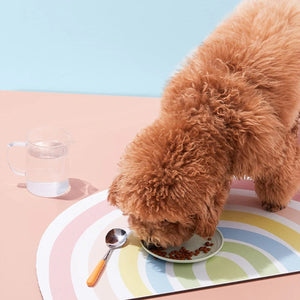 Rainbow Pet Food Mat Waterproof Non-Slip