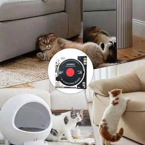 DJ Turntable Cat Scratching Board Interactive Cat Toy with Spring Ball