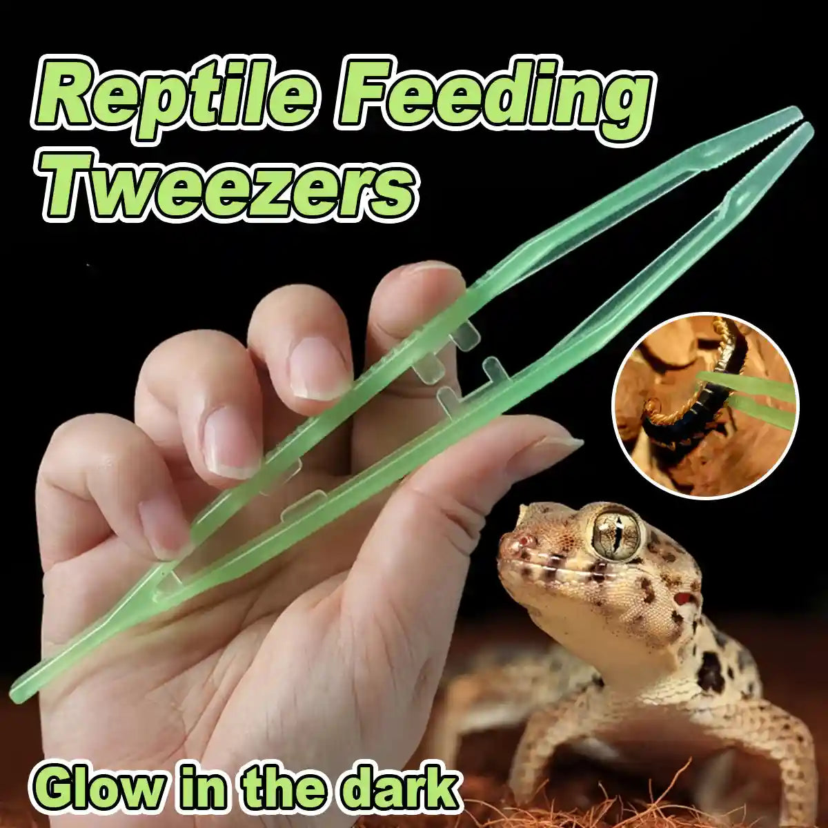 Luminous Tweezers 18cm Straight Feeding Tool For Reptile Tortoise Lizard Frog Spider