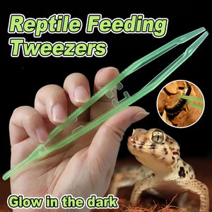 Luminous Tweezers 18cm Straight Feeding Tool For Reptile Tortoise Lizard Frog Spider