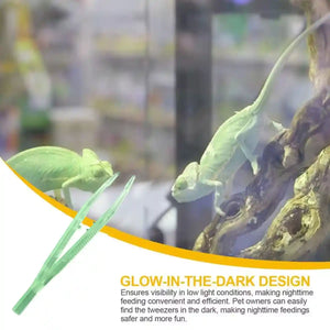 Luminous Tweezers 18cm Straight Feeding Tool For Reptile Tortoise Lizard Frog Spider