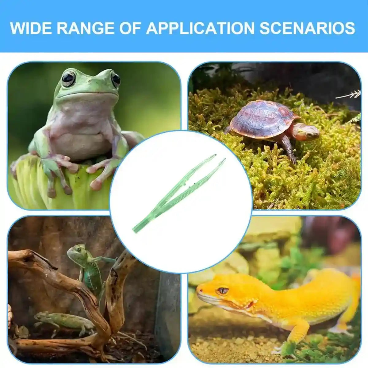 Luminous Tweezers 18cm Straight Feeding Tool For Reptile Tortoise Lizard Frog Spider