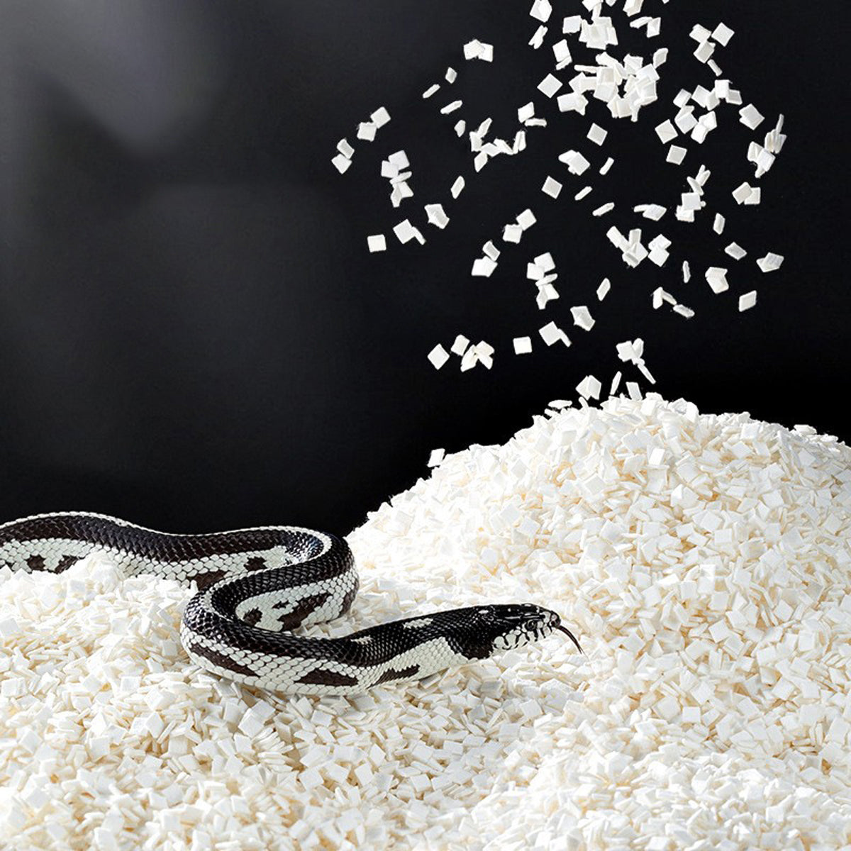 Reptile Bedding Blocks for Snake Tank Substrate