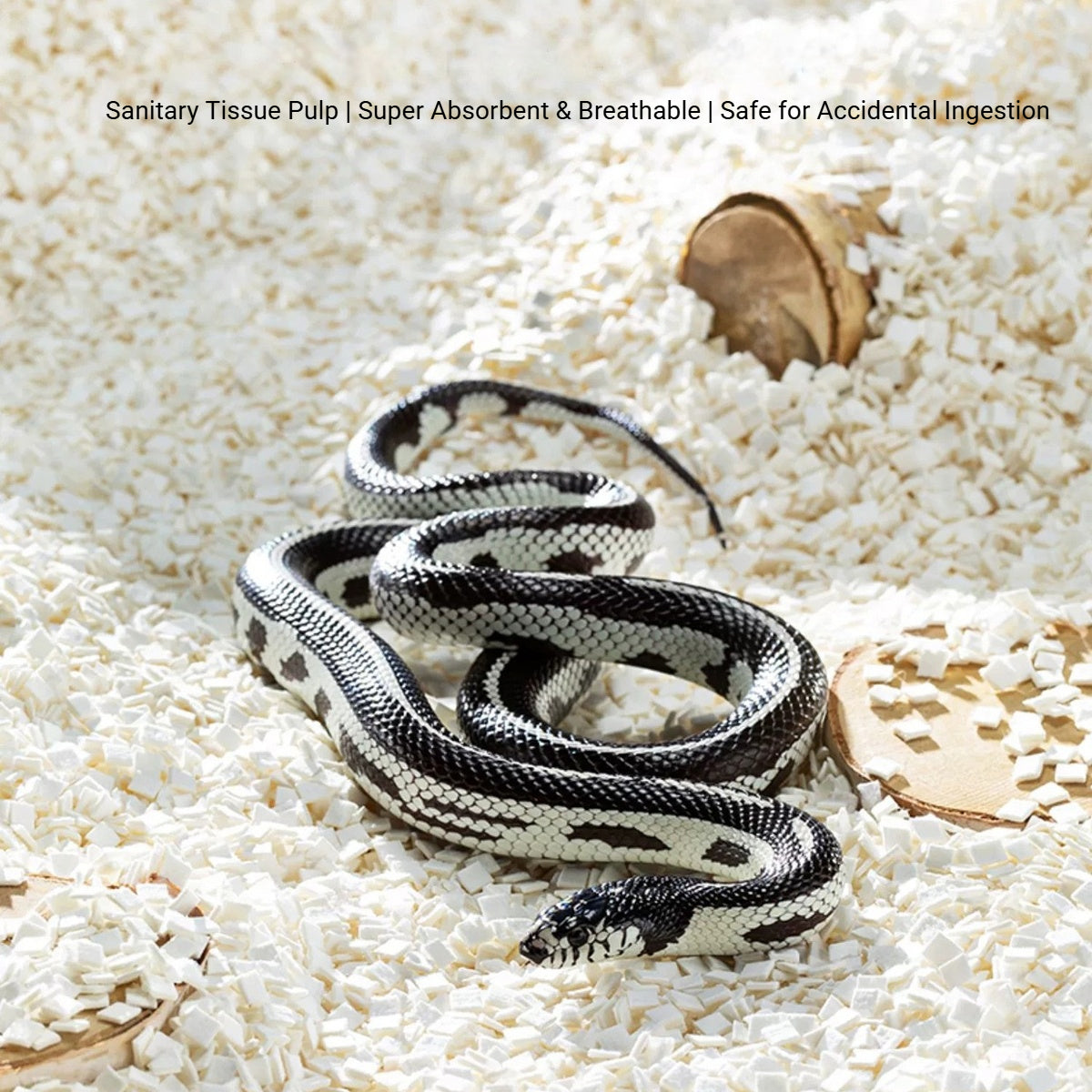 Reptile Bedding Blocks for Snake Tank Substrate