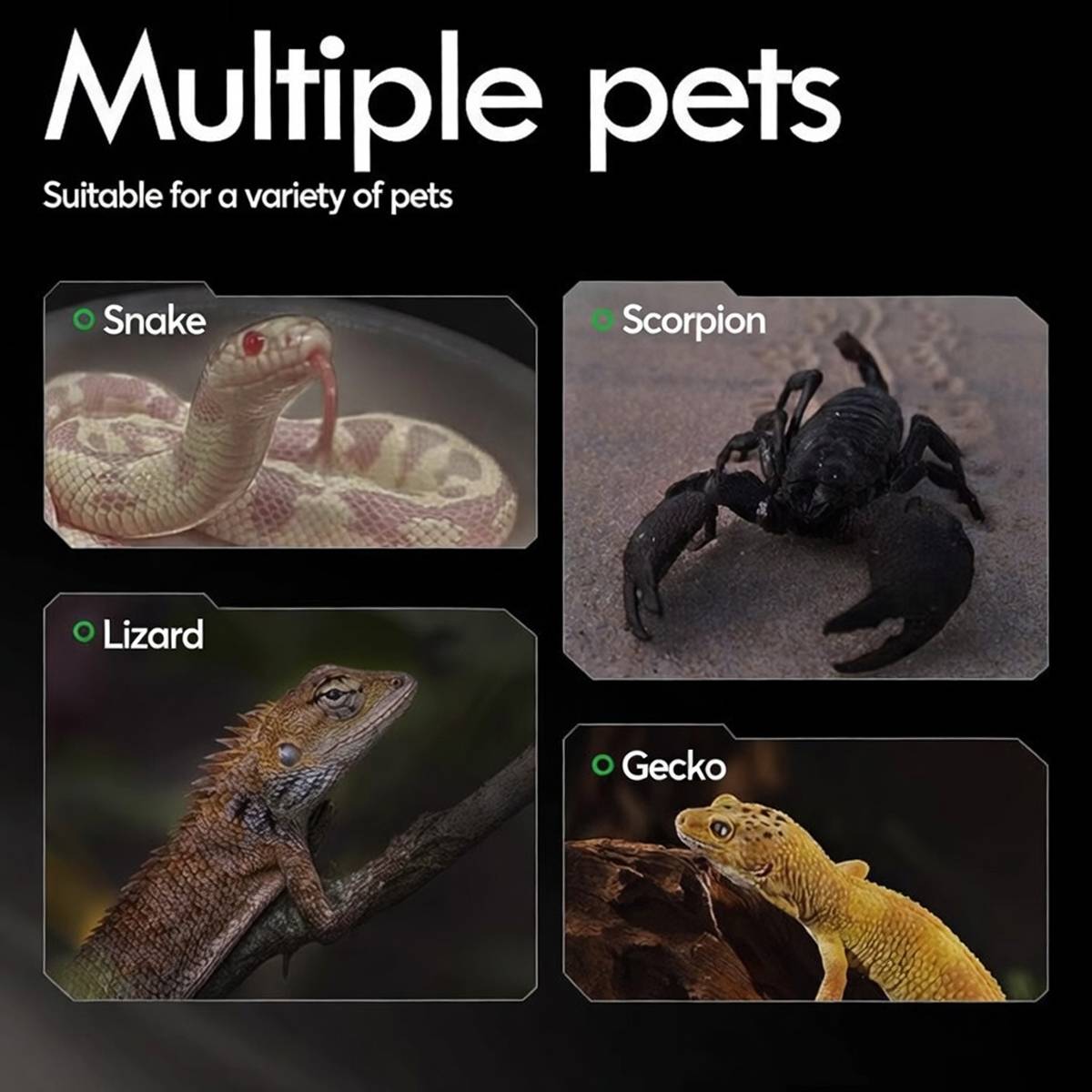 Reptile Calcium Sand - Cleen Climbing Pet Vivarium Substrate (Orange)