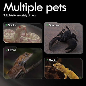 Reptile Calcium Sand - Cleen Climbing Pet Vivarium Substrate (Orange)