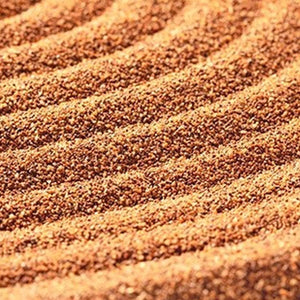 Reptile Calcium Sand - Cleen Climbing Pet Vivarium Substrate (Orange)