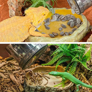 Cricket Calcium Powder Mixer