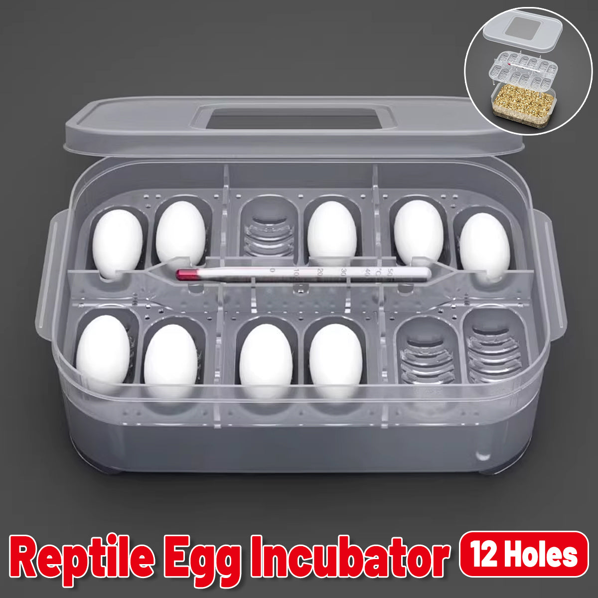 Lizard Hatching Box 12 Holes Reptile Egg Incubator