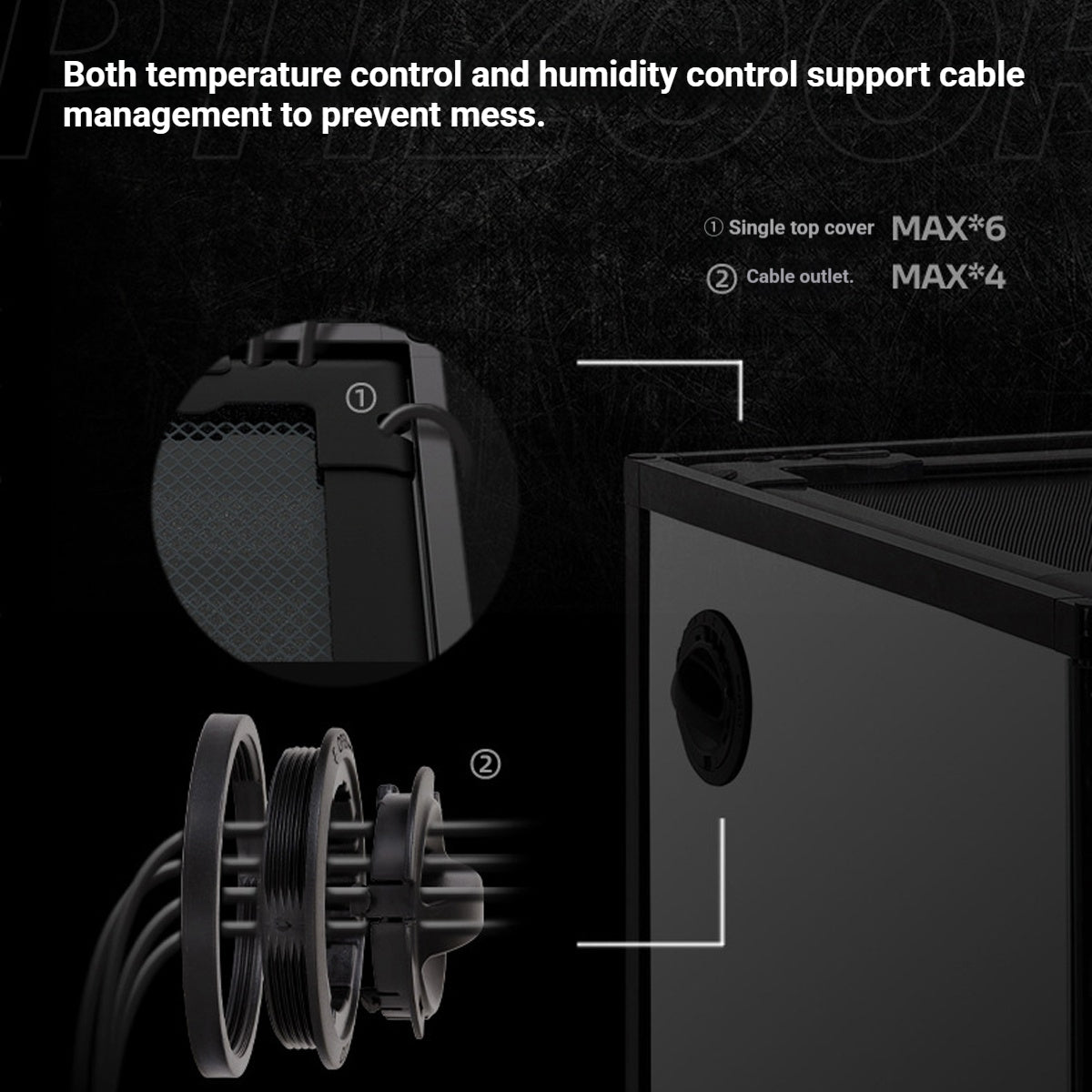 Reptile Enclosure Glass Terrarium With Front Opening