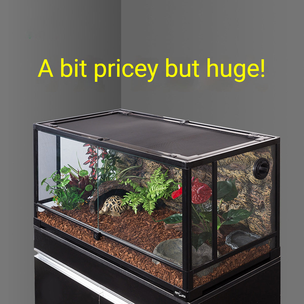 Reptile Enclosure Glass Terrarium With Front Opening