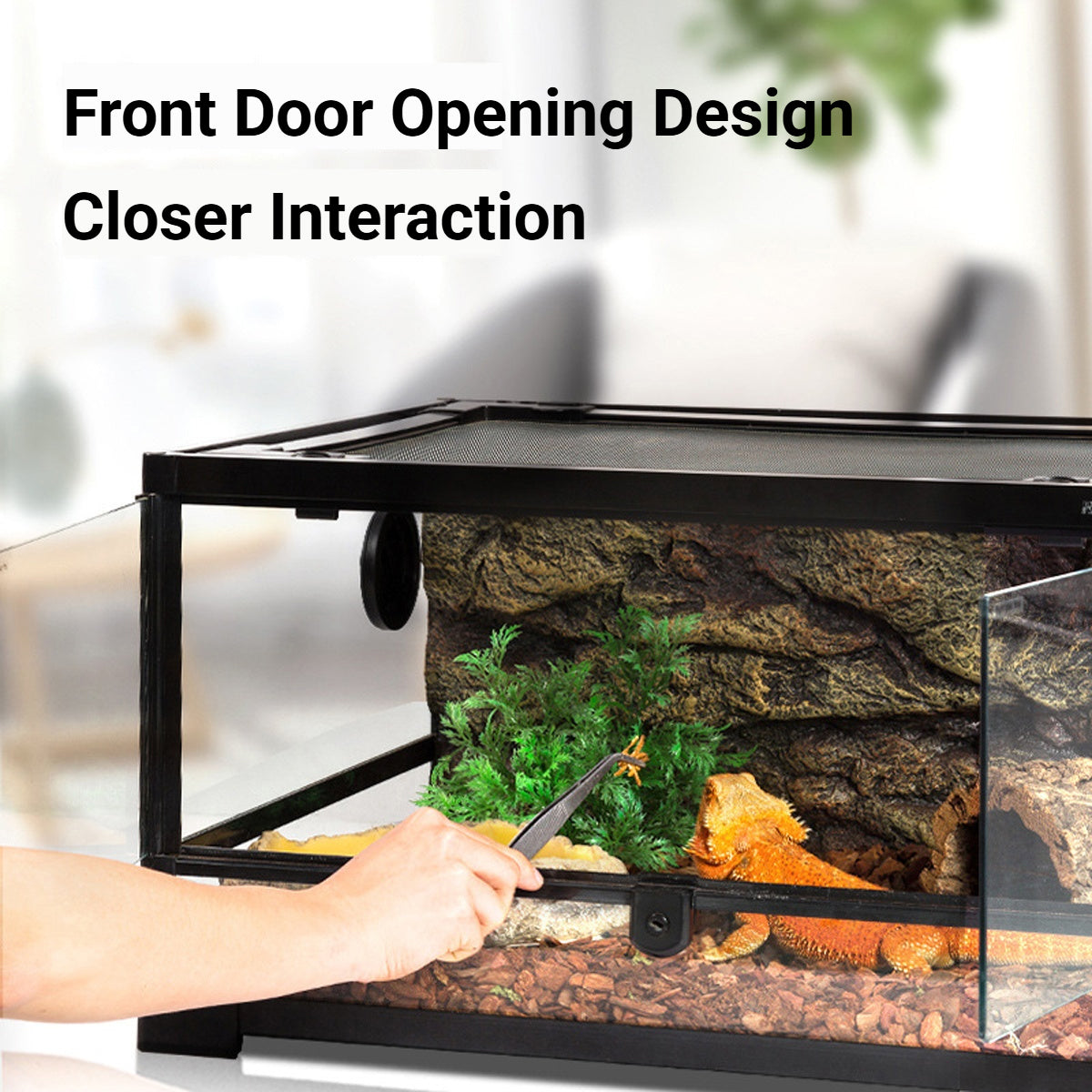 Reptile Enclosure Glass Terrarium With Front Opening