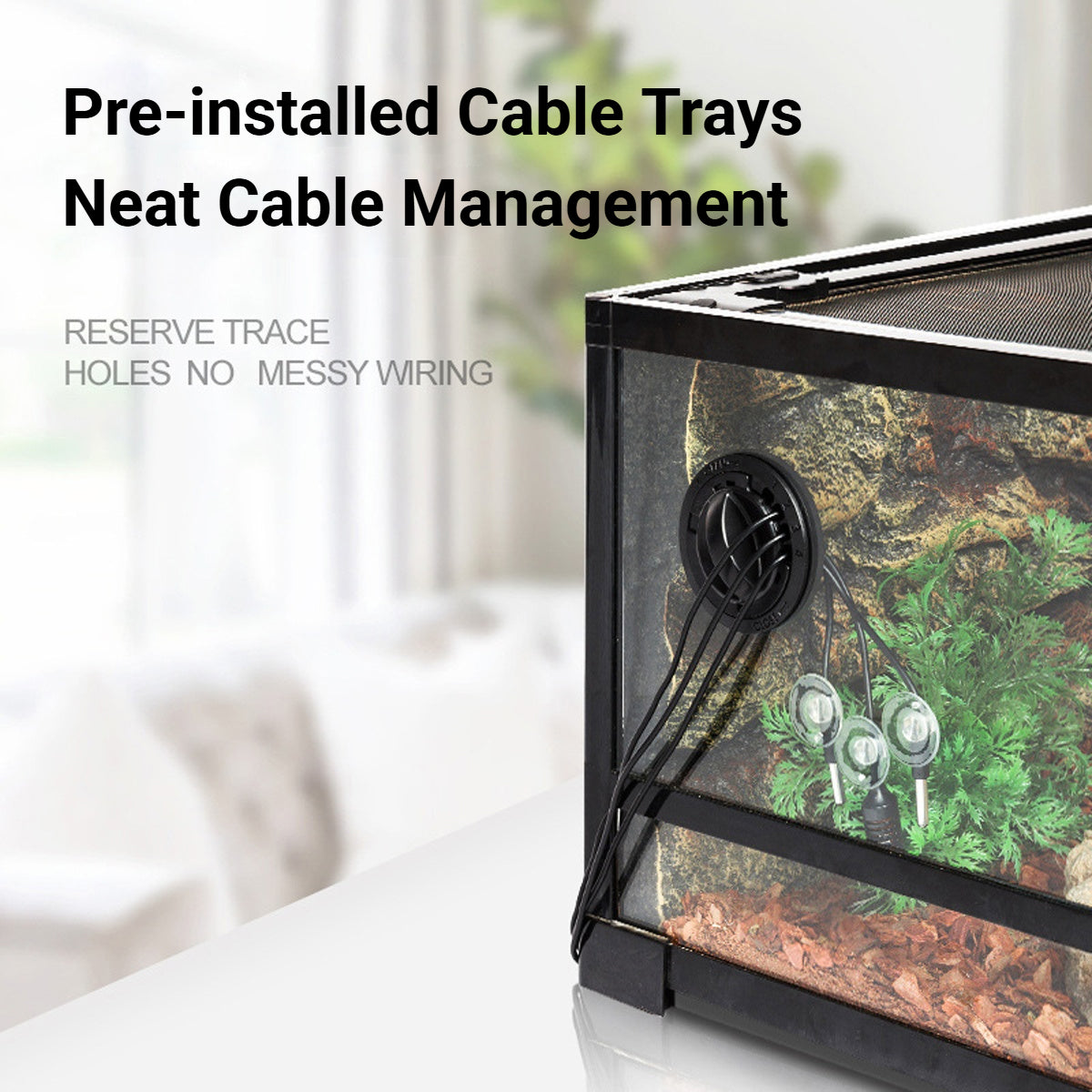 Reptile Enclosure Glass Terrarium With Front Opening