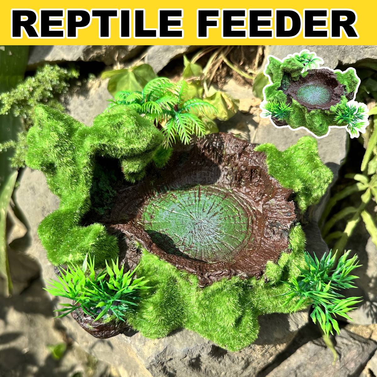 Resin Reptile Water Bowl Feeding Dish