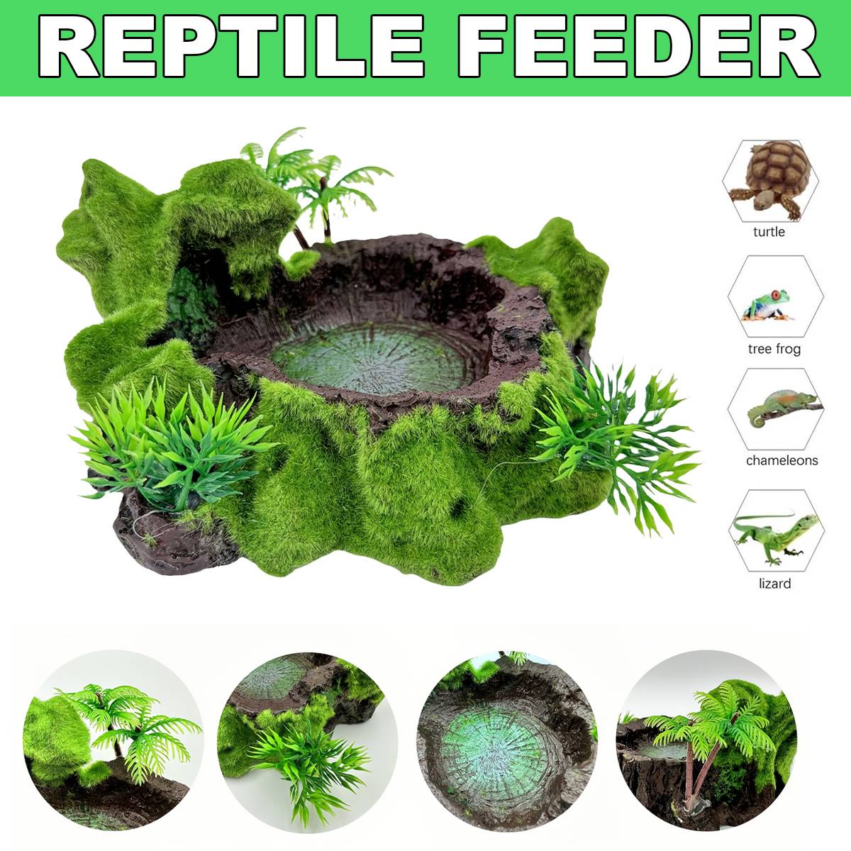 Resin Reptile Water Bowl Feeding Dish