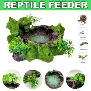 Resin Reptile Water Bowl Feeding Dish