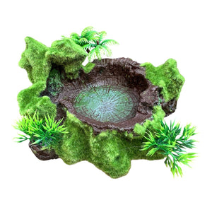Resin Reptile Water Bowl Feeding Dish