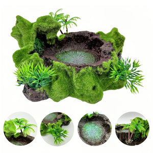 Resin Reptile Water Bowl Feeding Dish