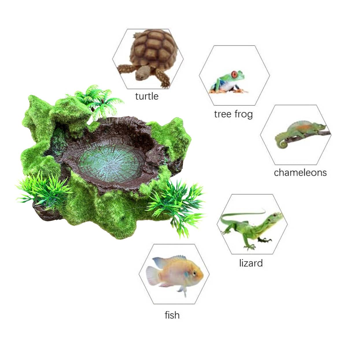 Resin Reptile Water Bowl Feeding Dish