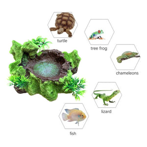 Resin Reptile Water Bowl Feeding Dish