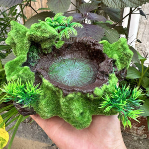 Resin Reptile Water Bowl Feeding Dish
