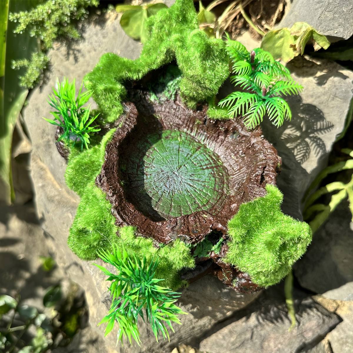 Resin Reptile Water Bowl Feeding Dish