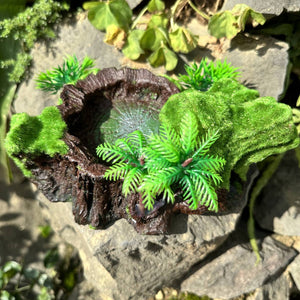 Resin Reptile Water Bowl Feeding Dish