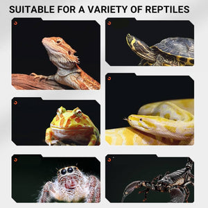 Reptile Basking Lamp - Full Spectrum Turtle Heat Lamp