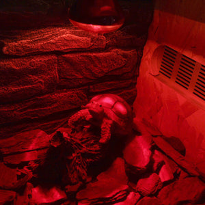 Reptile Heat Lamp Red Infrared Terrarium Heating Bulb