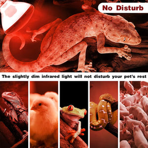 Reptile Heat Lamp Red Infrared Terrarium Heating Bulb