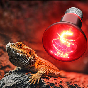 Reptile Heat Lamp Red Infrared Terrarium Heating Bulb