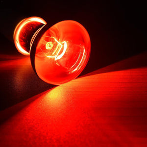 Reptile Heat Lamp Red Infrared Terrarium Heating Bulb