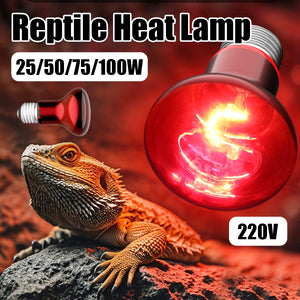 Reptile Heat Lamp Red Infrared Terrarium Heating Bulb