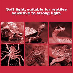 Reptile Heat Lamp Red Infrared Terrarium Heating Bulb