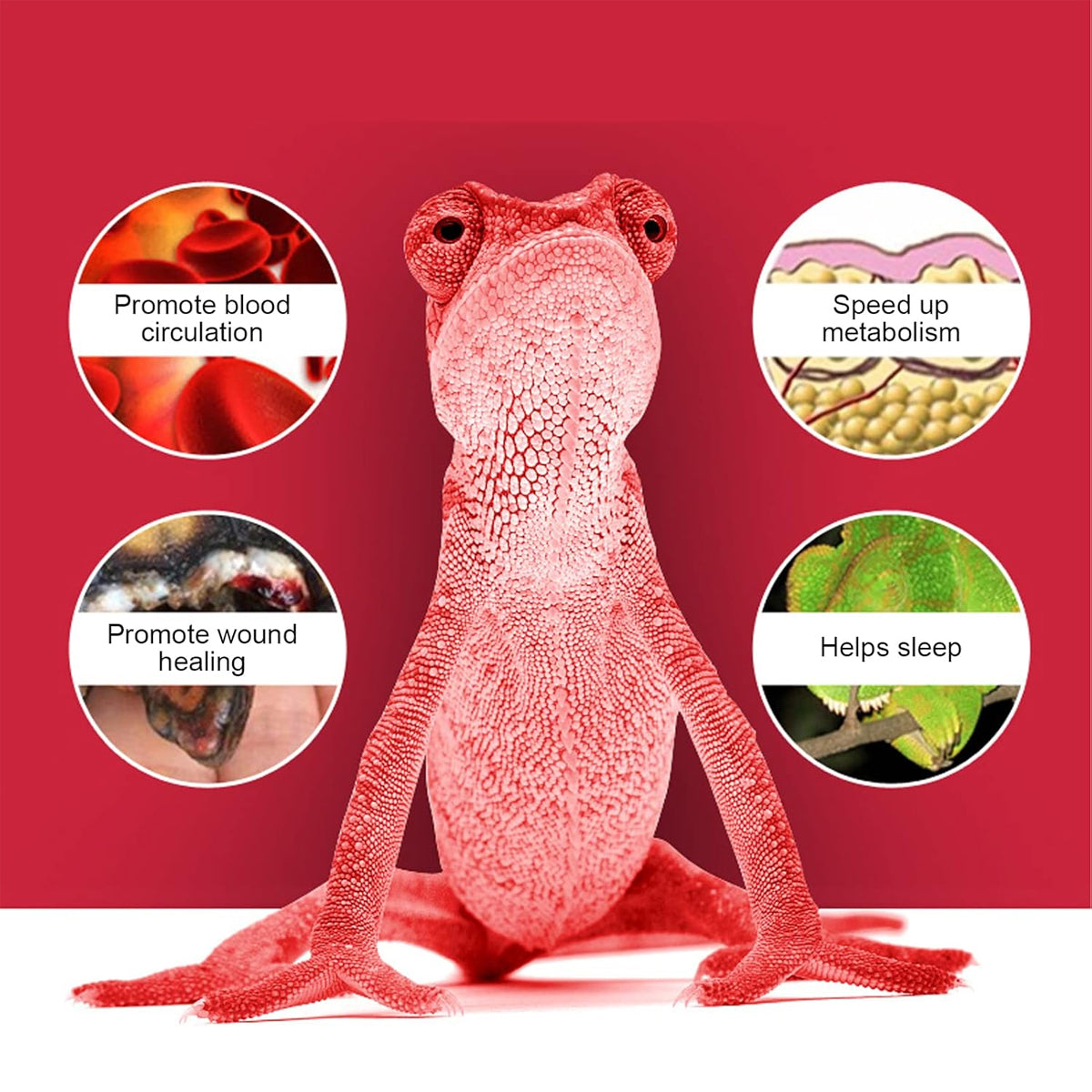 Reptile Heat Lamp Red Infrared Terrarium Heating Bulb