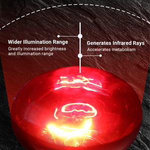 Reptile Heat Lamp Red Infrared Terrarium Heating Bulb
