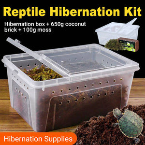 Tortoise Hibernation Set - Coconut Soil Reptile Terrarium Kit (L)