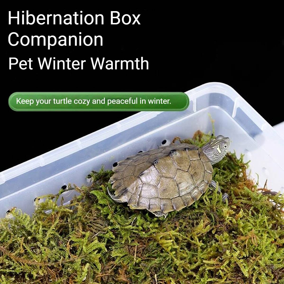 Tortoise Hibernation Set - Coconut Soil Reptile Terrarium Kit (L)