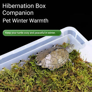 Tortoise Hibernation Set - Coconut Soil Reptile Terrarium Kit (L)
