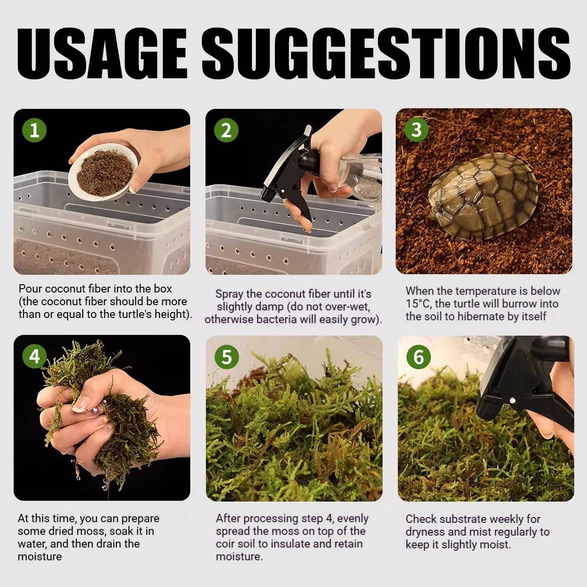 Tortoise Hibernation Set - Coconut Soil Reptile Terrarium Kit (L)