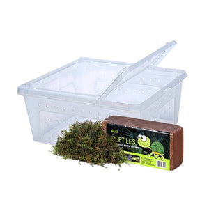 Tortoise Hibernation Set - Coconut Soil Reptile Terrarium Kit (L)