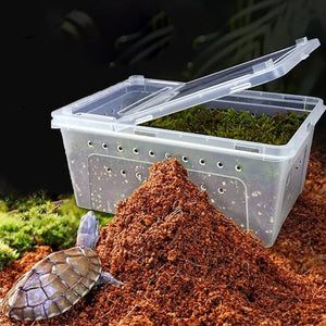 Tortoise Hibernation Set - Coconut Soil Reptile Terrarium Kit (L)