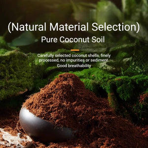 Tortoise Hibernation Set - Coconut Soil Reptile Terrarium Kit (L)