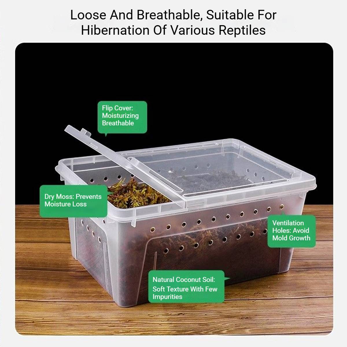 Tortoise Hibernation Set - Coconut Soil Reptile Terrarium Kit (L)