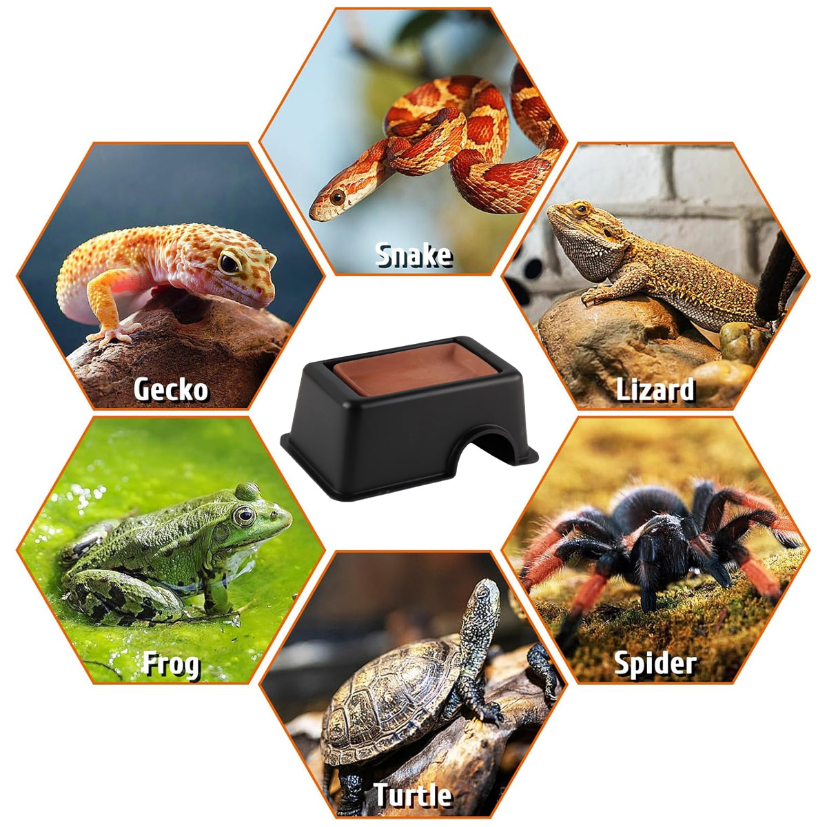3-in-1 Pet Feeding Mat with Bowls Non-Slip Silicone Food Tray