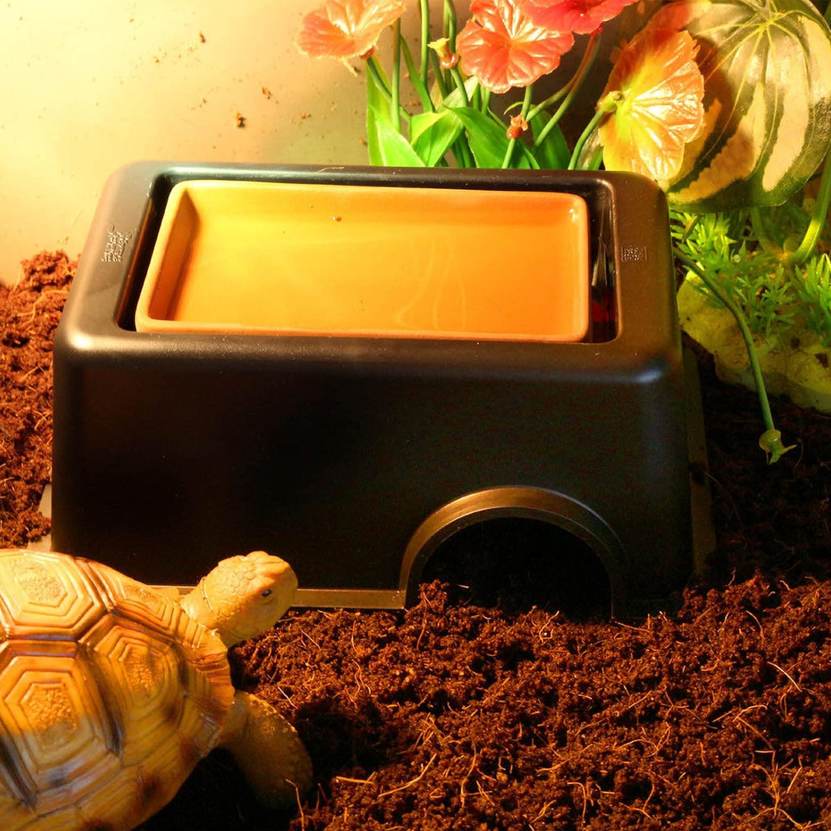 3-in-1 Pet Feeding Mat with Bowls Non-Slip Silicone Food Tray